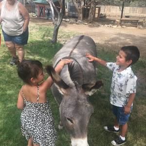 Meet your Posher, Tammy